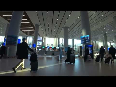 Видео: 2023. Как добраться из Нового аэропорта Стамбула в Болгарию на автобусе