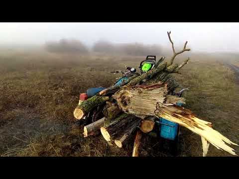 Видео: На Мотоцикле ИЖ Планета.За дровами ИВЫ