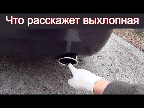 Видео: Как быстро проверить состояние двигателя на жор масла. Что расскажет выхлопная. Теория и практика.
