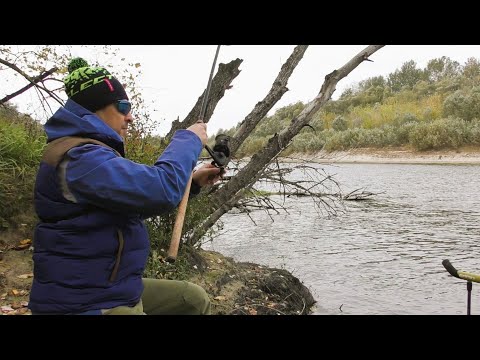 Видео: Що Клює на Фідер в Жовтні. Фідер на Десні