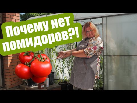 Видео: ПОМИДОРЫ НЕ ЗАВЯЗЫВАЮТСЯ ИЛИ ОПАДАЮТ? Вот главные причины!