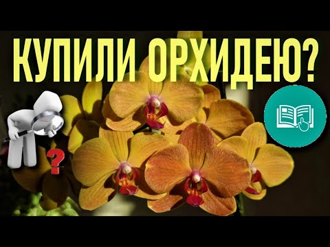 Видео: КУПИЛИ ОРХИДЕЮ? СЛЕДУЙТЕ ИНСТРУКЦИИ!🌞 ДЛЯ НОВИЧКОВ! КАК ВОССТАНОВИТЬ ТУРГОР ЛИСТЬЕВ ОРХИДЕИ ЗА ДЕНЬ!