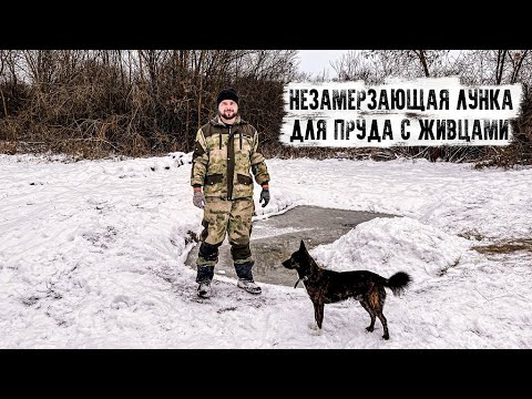 Видео: Незамерзающая лунка в пруду разведения для живцов из подручного материала