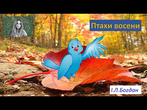 Видео: Птахи восени