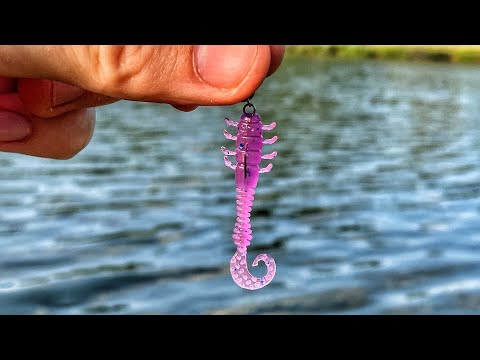 Видео: Скорпіон ЛОВИТЬ Рибу! Як Ловити ОКУНЯ Літом?!