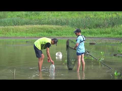 Видео: Спасение РЫБЫ