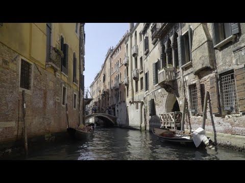 Видео: ДВЕ ВЕНЕЦИИ. Коллекция керамической плитки 2017 года