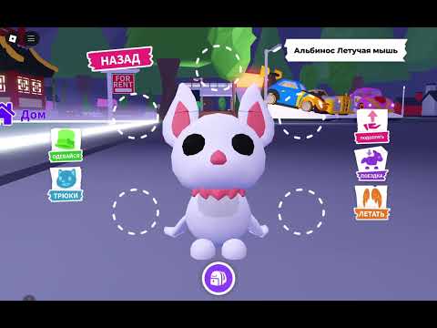 Видео: Обзор на мой инвентарь в адопт ми😜😜 1 часть))