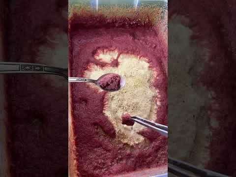 Видео: Огляд червʼяка Ізя. Обзор домашнього трубочника Ізя.Культура трубочника для домашнього культивування