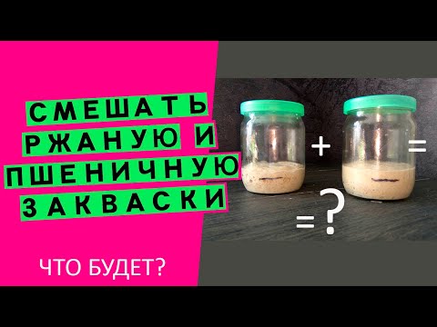 Видео: Что получится, если смешать ржаную и пшеничную закваски😱? ЭКСПЕРИМЕНТ!😉