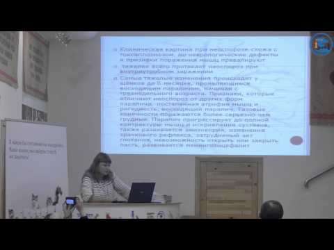 Видео: «Энцефалиты у собак и кошек», Н. В. Уланова