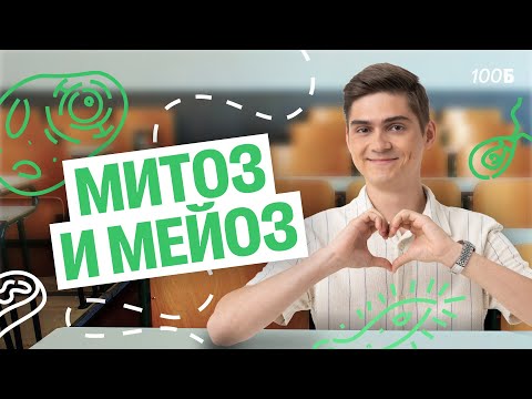 Видео: Интенсив "Деление клетки". Митоз и Мейоз | Марк Ламарк | 100балльный репетитор