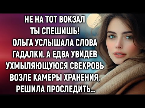 Видео: Что скрывал чемодан свекрови, и почему она шла тайком?