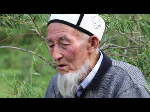 Видео: кичи карамык наби кабиров