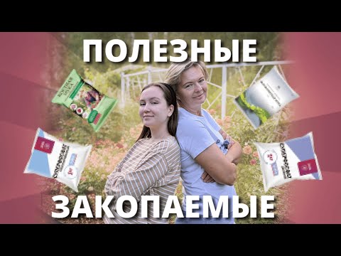Видео: ПОСАДКА И ПЕРЕСАДКА РОЗ ОСЕНЬЮ. Без секретов, но с советом.