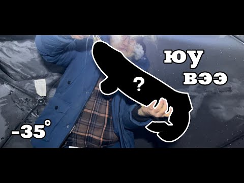 Видео: Өвлийн аялал Ханх 2024 #Khuvsgul #Hanh #icefishing #burbot #mongolia