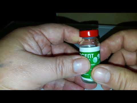 Видео: Профилактика болезний у попугаев #2