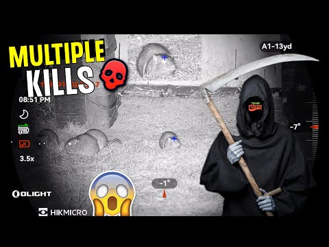 Видео: КРЫСИНЫЙ ЖНЕЦ, лазерная точность Alpex Lite... Часть 1 ЭПИЧЕСКИ!!!!