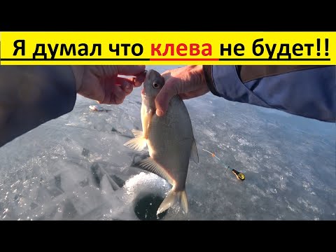 Видео: Ловля леща в глухозимье, на веселовском водохранилище 2023