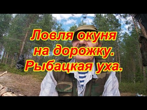 Видео: Ловля окуня на дорожку.Рыбацкая уха.