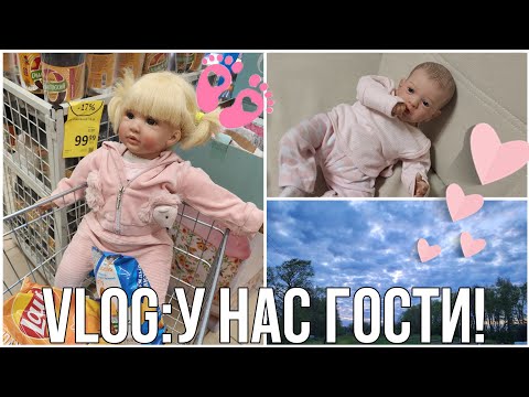 Видео: VLOG:К нам приехали гости. Есения навела беспорядок. В магазине с реборнами.