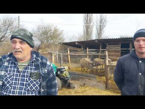 Видео: Забытый хутор: жизнь без воды и газа. Семья Гасановых / КБР, х.Баксанский / 2-ая часть