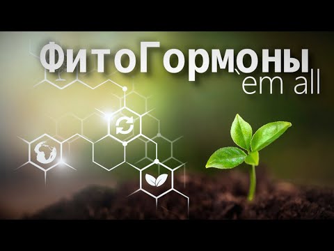 Видео: Стимуляторы роста аквариумных растений и фитогормоны