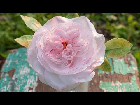 Видео: Английская роза🌸 из вафельной бумаги - Я - ТОРТодел!