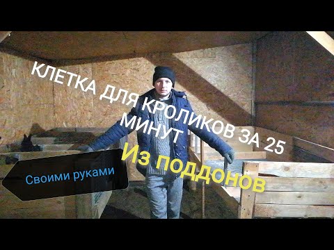 Видео: КЛЕТКА ДЛЯ КРОЛИКОВ ЗА 25 МИНУТ