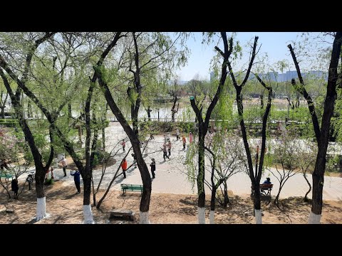 Видео: Китай,Муданьцзян.День второй_Кафе"Mr.Lee"/подземка/шопинг. 03 мая 2024 год.