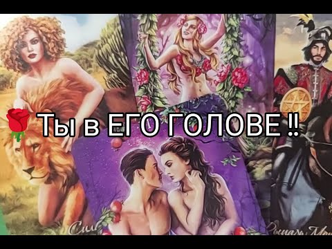 Видео: 💐 ДУМАЕТ ли ОН о ВАС 🔮 Сегодня 💥!? ЧТО !? Какие ПЛАНЫ 🌹!? Гадание онлайн, таро, tarot 