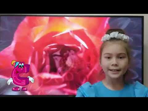 Видео: Прощание с букварем. 1 "А-Л" класс. 2021 - 2022 учебный год.