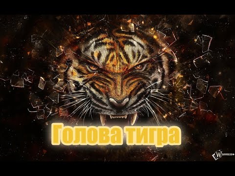 Видео: Голова тигра