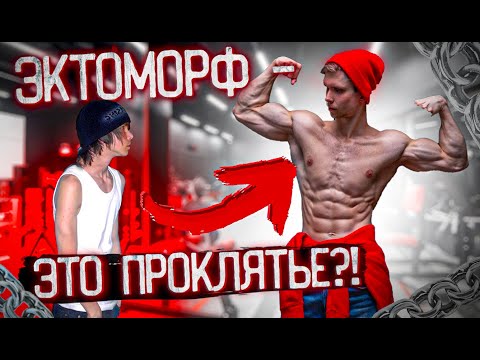Видео: Эктоморф - это проклятье?! Ответ Хейтерам от Archo Morris. Влог
