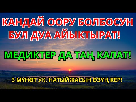 Видео: ДАРЫСЫ ЖОК ООРУГА ШЫПАА! Бул дуба менен керемет мүмкүн | 1