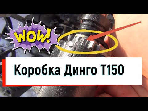 Видео: Снегоход Динго Т150. Ремонт коробки передач.