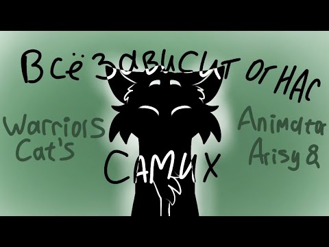 Видео: Всë зависит от нас самих  meme/ Warriors cat's