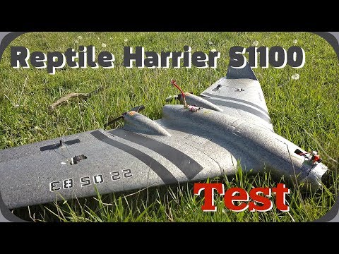Видео: Сумасшедше быстрое крыло Reptile Harrier S1100 !!!