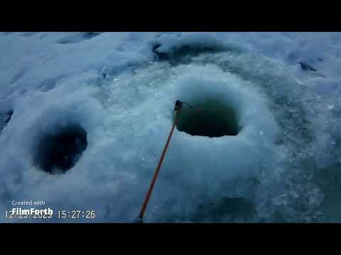 Видео: Рыбалка на ротана перед НОВЫМ ГОДОМ. 25.12.2023г.