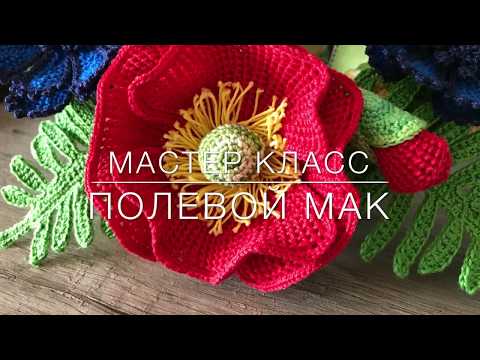 Видео: 😍 мастер класс 😍 полевой 🌺 мак тунисское вязание Crochet flower pattern