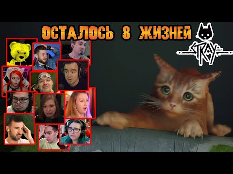 Видео: Реакция Летсплейщиков на Грустную Сцену в Stray