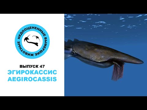 Видео: Недооцененные Вымершие Животные. Выпуск 47: Эгирокассис (Aegirocassis)