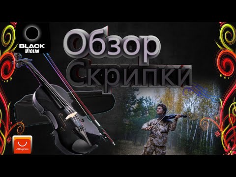 Видео: Обзор скрипки с aliexpress\\бюджетная скрипка для новичков.