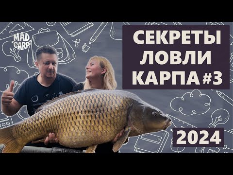 Видео: Секреты ловли карпа 2024. Семинар С. и О. Воеводиных в г. Шымкенте. Часть 3.