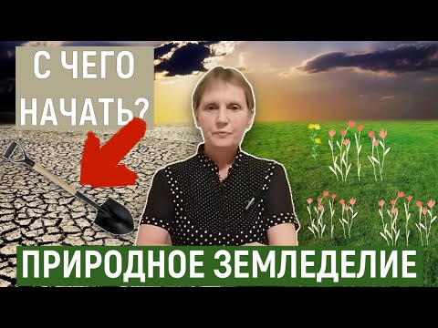 Видео: Делюсь опытом, как начать природное земледелие. Перестаньте перекапывать. Сделайте землю плодородной