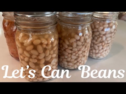 Видео: Консервирование под давлением фасоли и мяса