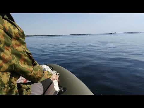 Видео: Проверка на воде,лодка Регат 360 нднд