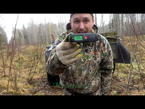 Видео: Охота на бобра с капканами КП-320 #30 / Beaver Hunting