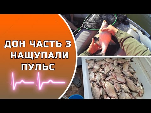 Видео: ДОН ЧАСТЬ 3 НАЩУПАЛИ ПУЛЬС