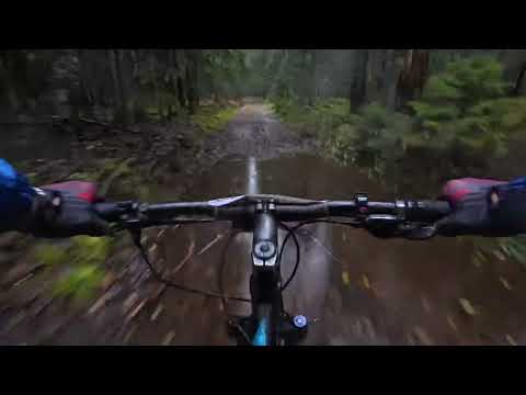 Видео: Жук-трейл Логойск 2025 (вело 55)